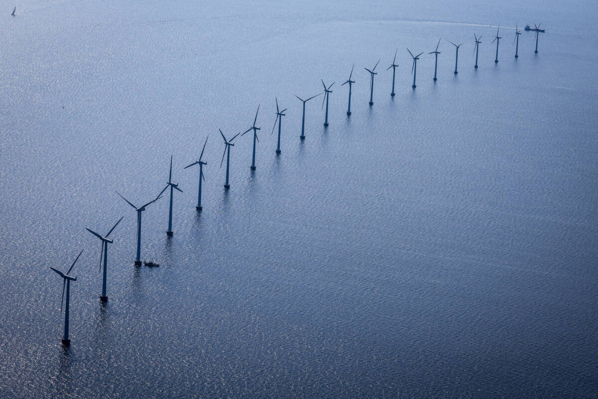 Article image for ‘Industrial monstrosity’: Game Fishing Club Director SLAMS offshore wind turbines