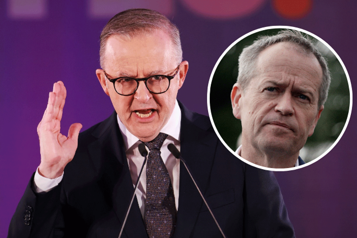 Article image for ‘That has value’: Bill Shorten fires back at Albanese’s Voice critics