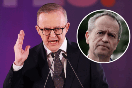 ‘That has value’: Bill Shorten fires back at Albanese’s Voice critics