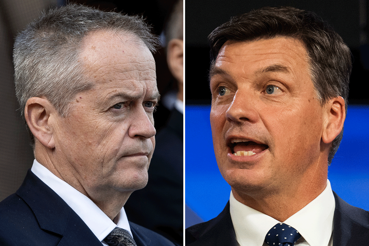 Article image for ‘Grow up!’: Bill Shorten, Angus Taylor clash over Israel conflict