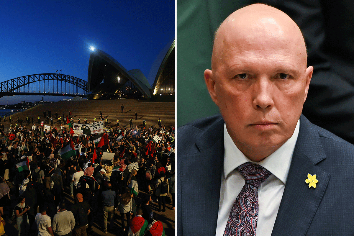 Article image for ‘They should be deported’: Dutton calls for action on protestors with Visas