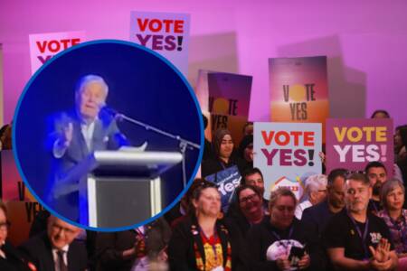 ‘Dinosaur or a dickhead’: Ray Martin calls out ‘No’ voters at rally