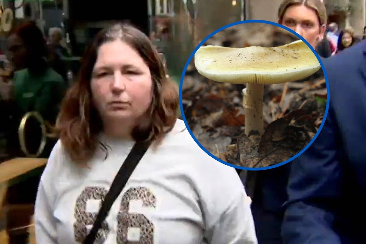 Article image for Arrest finally made in mushroom death saga