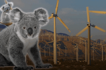 ‘Sledgehammer’ – Shocking plan for injured animals at new wind farm