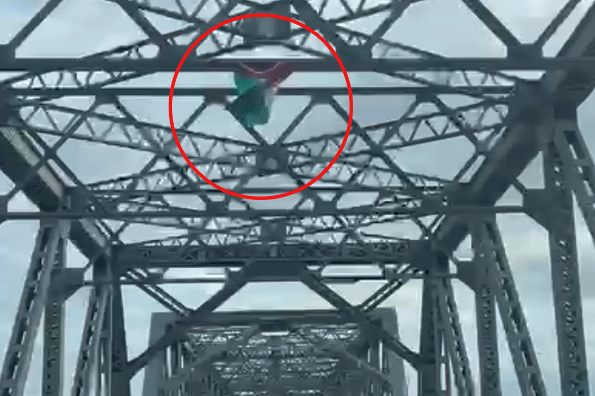 Article image for SPOTTED: Palestinian flags hung across Tom Ugly’s Bridge