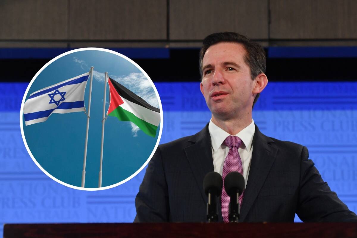 Article image for ‘Government’s gone to water’: Simon Birmingham reacts to Australia’s UN ceasefire vote