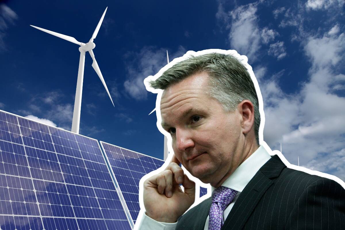 Article image for ‘Pure insanity’: David Littleproud slams Chris Bowen’s latest renewables push