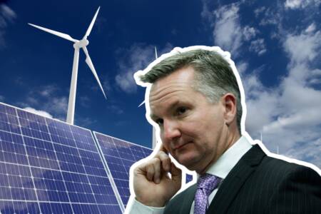 ‘Pure insanity’: David Littleproud slams Chris Bowen’s latest renewables push