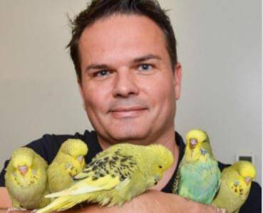 Why everybody deserves a budgie