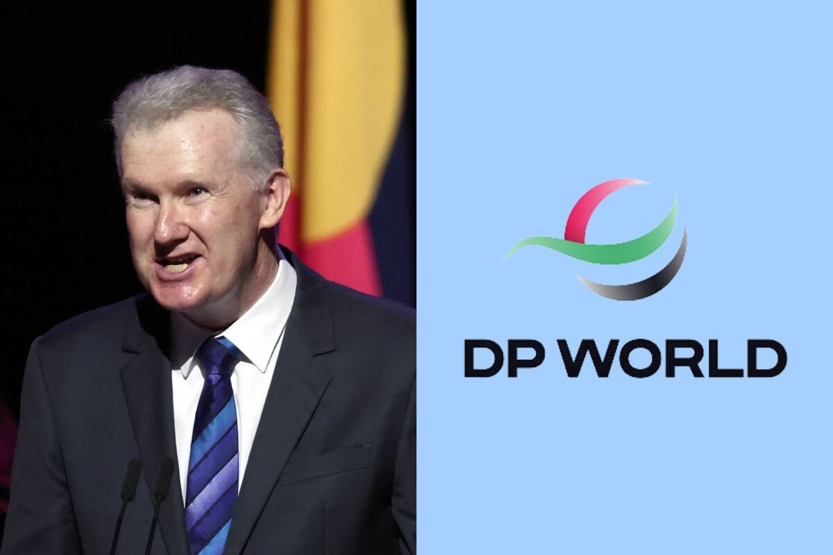 Article image for Tony Burke grilled over Labor’s inaction on DP World industrial dispute