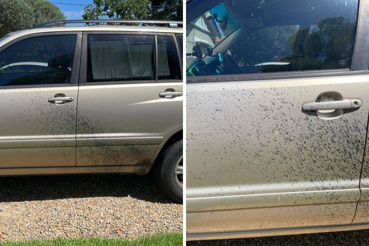 Article image for ‘Spray paint drama’ – Customer’s car damaged at Bunnings Carpark