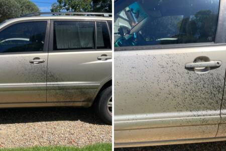 ‘Spray paint drama’ – Customer’s car damaged at Bunnings Carpark