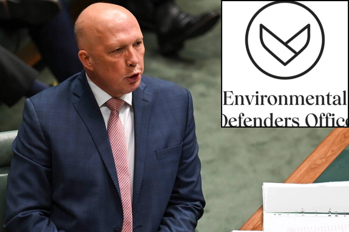 Article image for ‘We’ll defund them’ – Peter Dutton plans attack on green activists