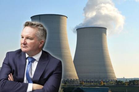 ‘Out of touch’ – Chris Bowen’s electorate supports nuclear power