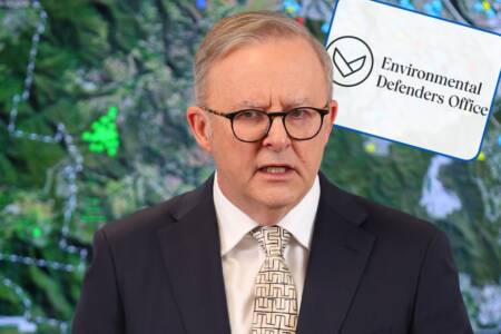 ‘Albo’s own goal’ – How a gift from the PM is causing chaos