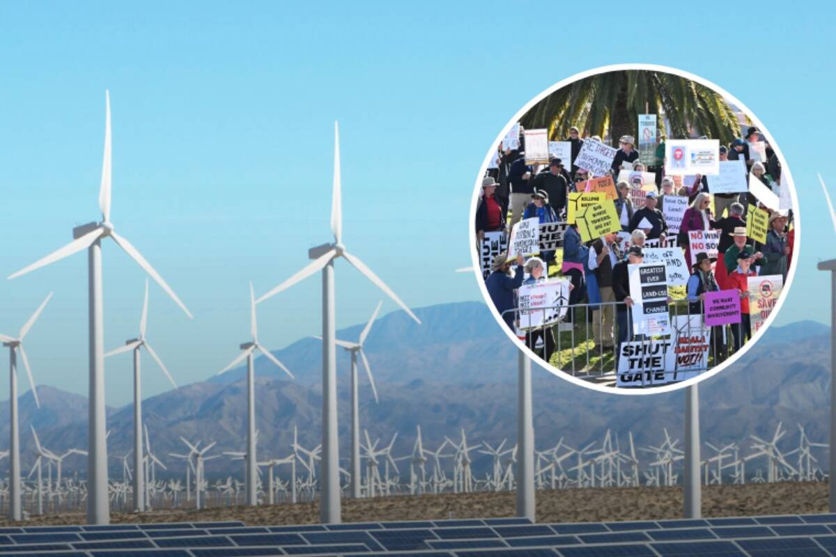 Article image for ‘Reckless renewables’ – Farmers to protest outside Parliament House