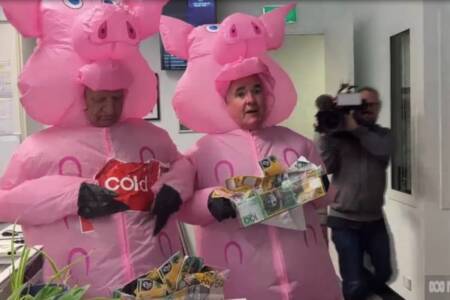 Pigs in Parliament – MPs in supermarket stunt