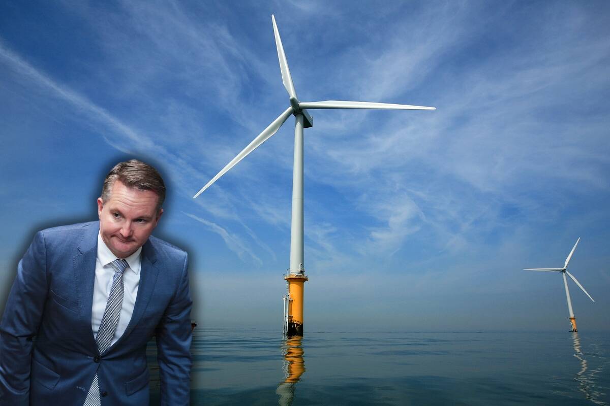 Article image for ‘Bowen’s Backflip’ – Minister SLASHES offshore wind zone