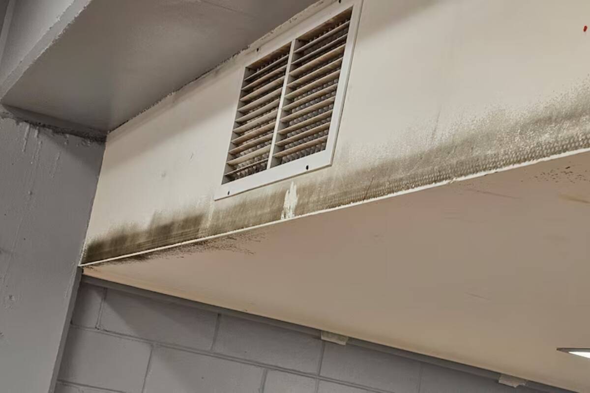 Article image for High school in Broken Hill to be demolished due to mould