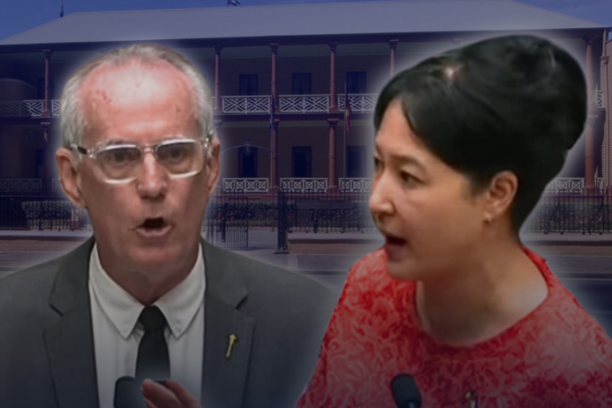 'Playing the race card’ Greens MP involved in UNHINGED outburst
