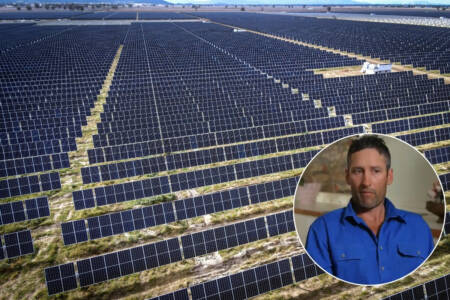 ‘Unaffordable’ – The $750m solar project which will send farmers broke