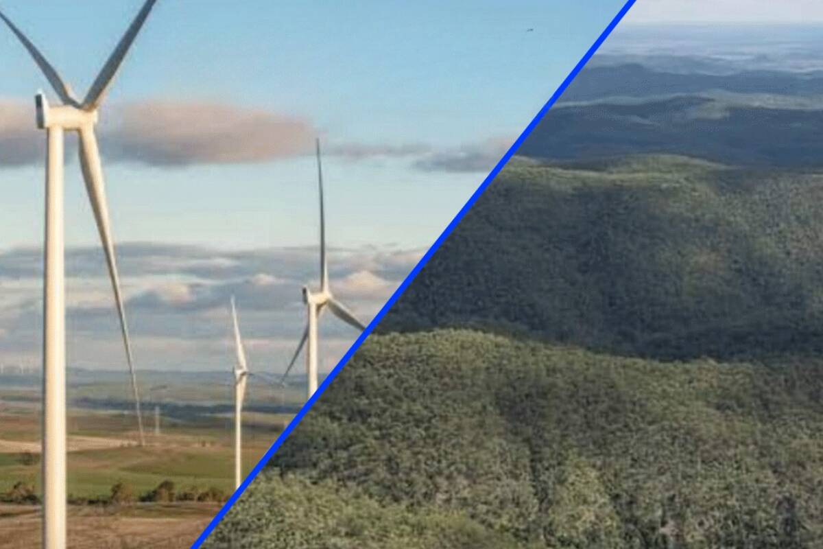 Article image for ‘Greenwashing’ – Tanya Plibersek fact-checked on wind farm