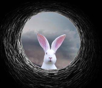 Down the Rabbit Hole – Rosie Grier