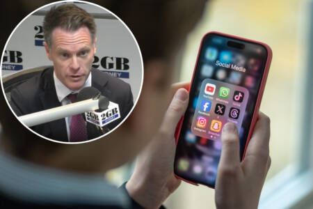 ‘Too young’ – Premier backs minimum age for social media