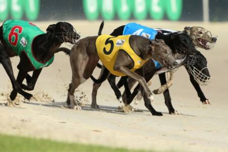 EXCLUSIVE – Ray lifts lid on Greyhound Racing redundancies amid misconduct allegations