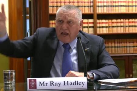 ‘Blow up’ – Ray Hadley explodes at parliamentary inquiry