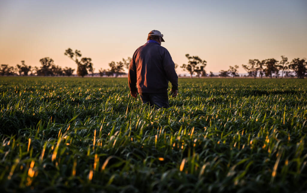 Australian farmers fighting back against renewable energy farms being forced upon them