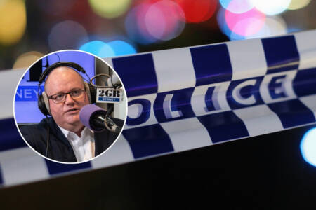 ‘Not paid actors’ – Levy’s grim warning as more antisemitic attacks hit Sydney