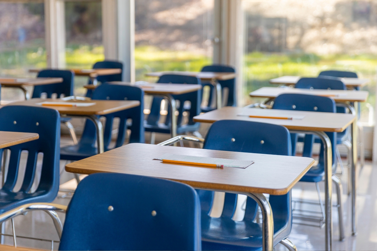 Article image for ‘Unable to advocate for itself’ – The growing divide between private and public schools