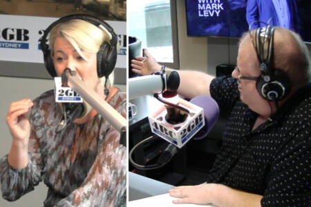 ‘Do you concede that?’ – Mark Levy clashes with NSW Police Minister over antisemitic attacks