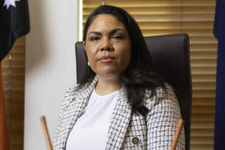 ‘Woke jobs’ – Jacinta Price getting ready to swing the axe