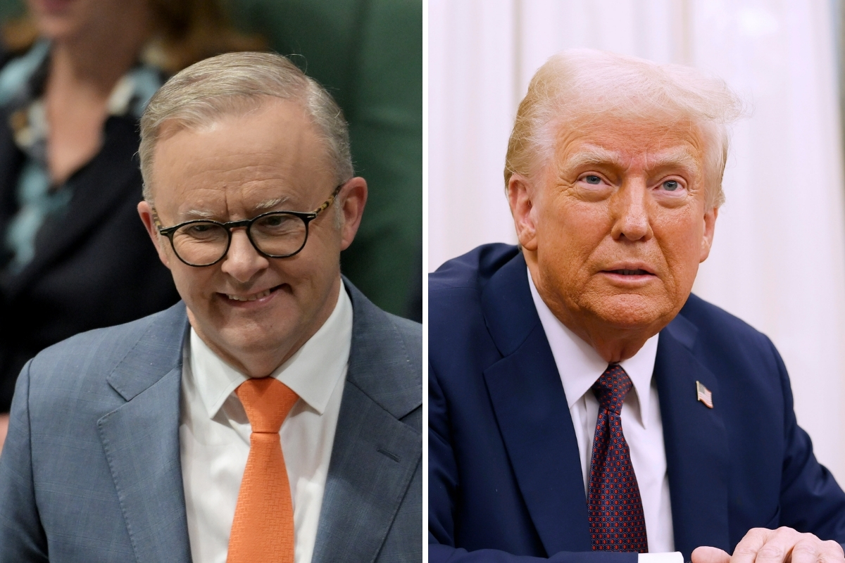 Article image for ‘Laughable’ – Levy rips PM’s bizarre response to Donald Trump’s Gaza plan