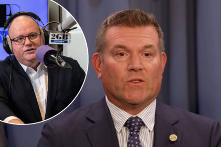 ‘I’m not a lawyer’ – Levy grills NSW Nationals Leader on mandatory minimum sentences