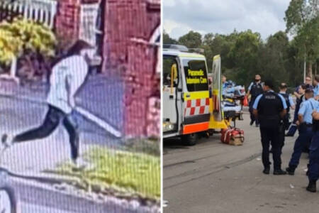 ‘Machetes and bats’ – Violent brawl involving up to 40 people in Sydney’s west