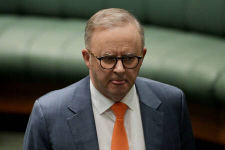 ‘Umming and ahhing’ – Albo sounds like his confidence is shot