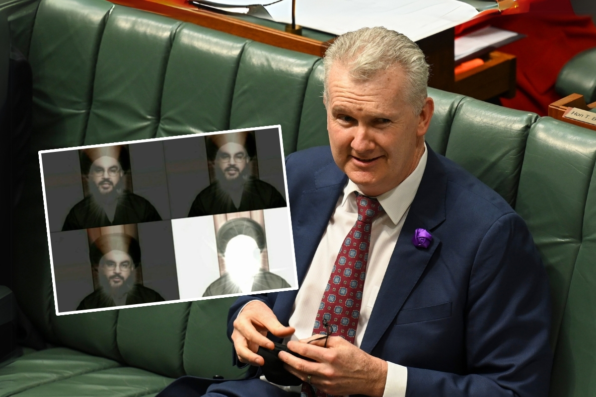 Article image for ‘Terror art’ – Minister Tony Burke caught up in fresh scandal