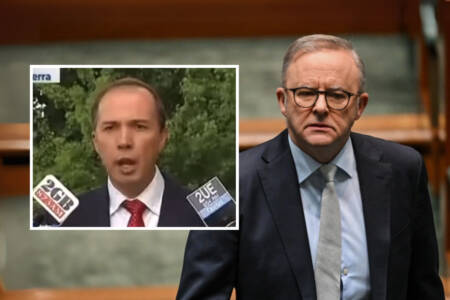 ‘Big fat lie’ – Labor attack ad exposed as a fraud