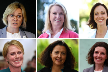 ‘Teals remain a significant threat’ – Experts weigh in on teal dominance in key seat