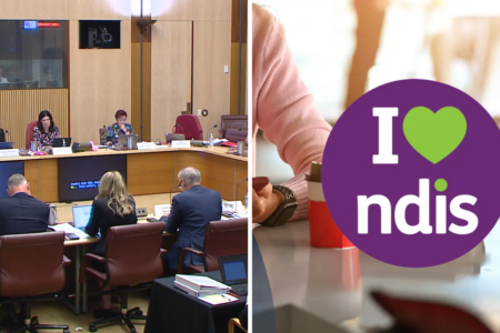 Thousands of criminals, including sex offenders, accessing NDIS services, Senate hears