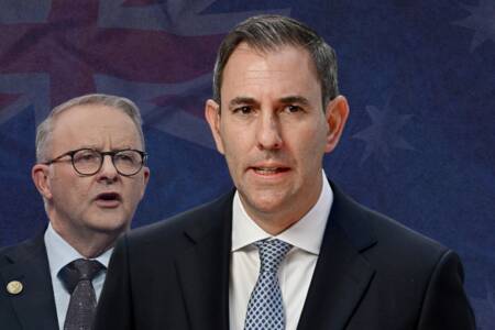 ‘Nothing has changed’ – Levy rips into Jim Chalmers’ disastrous poll results