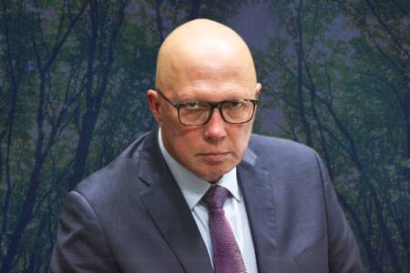 ‘Dumping Net Zero’ – Will Peter Dutton follow UK Conservatives?