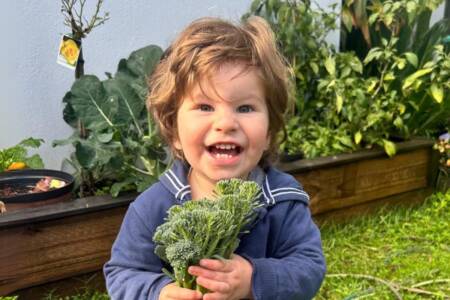 Exclusive – Joe’s Law introduced after 2GB campaign