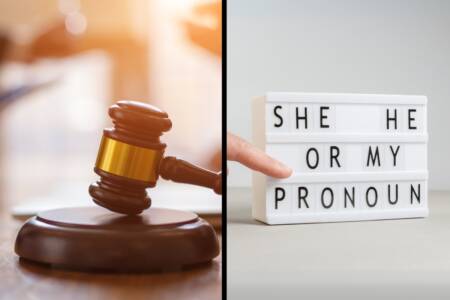 ‘Pronoun puzzle’ – Lawyers given lessons on gender identity