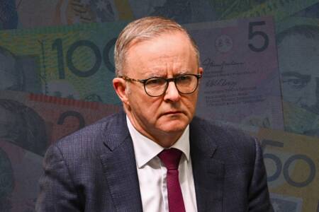 ‘Spending addict’ – Anthony Albanese slammed by top economist
