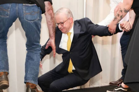 ‘I didn’t fall’ – Anthony Albanese denies suffering election slip