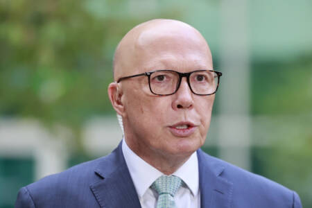 ‘Dramatic decline’ – Minor parties becoming a headache for Peter Dutton